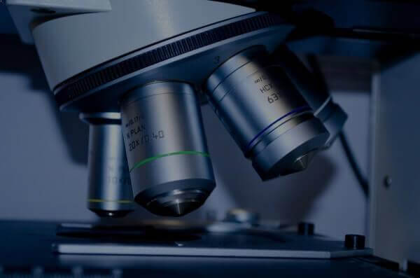 Research Oragnizations & Universities